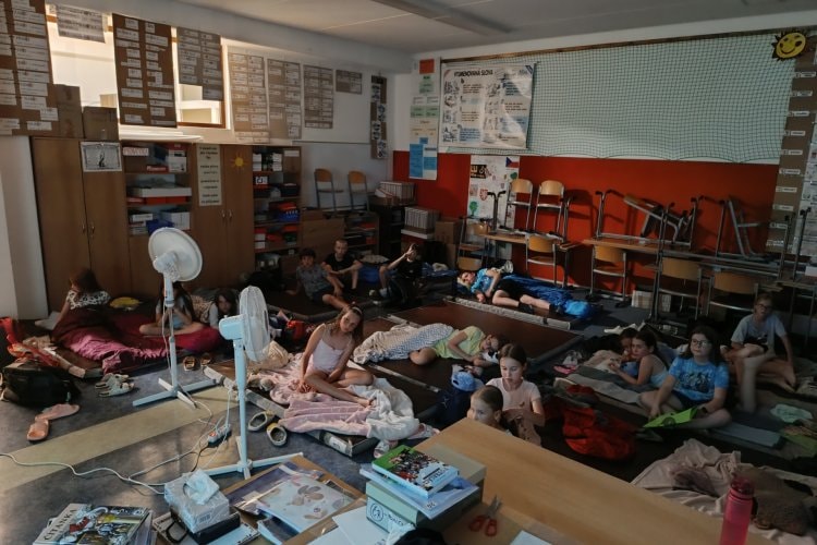 image-24709