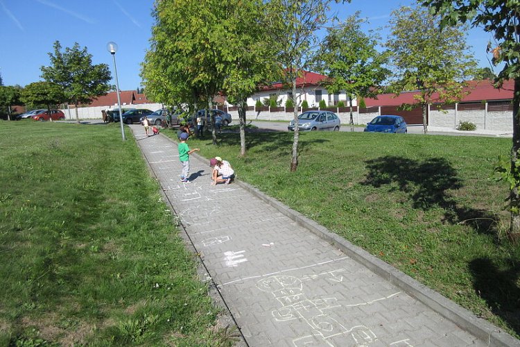 image-1009