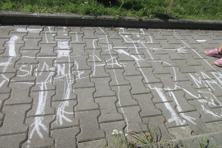 image-1017