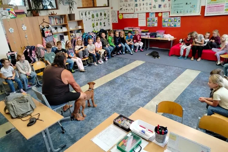 image-39544