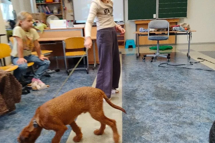 image-39576