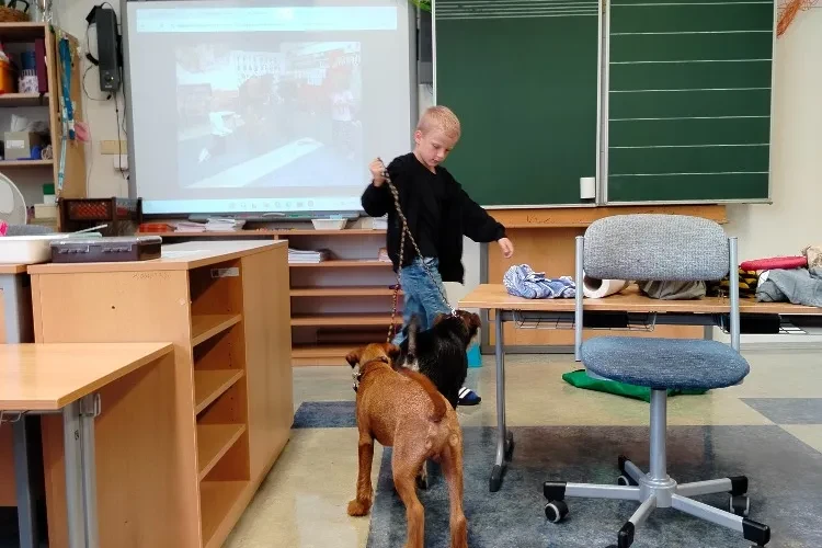 image-39586