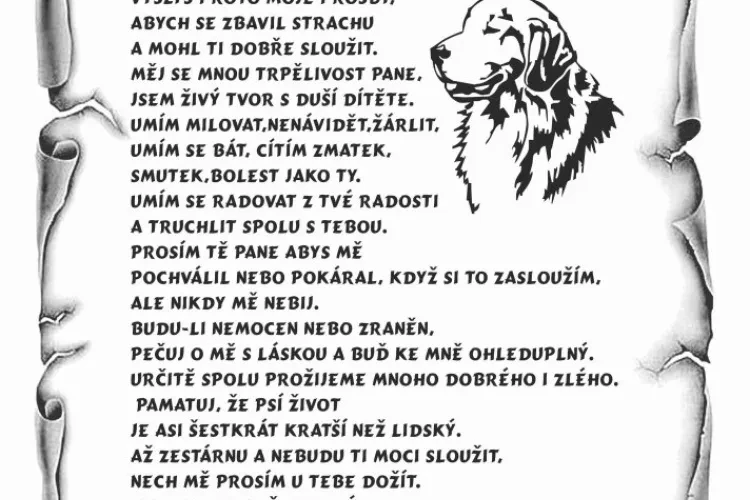image-40143