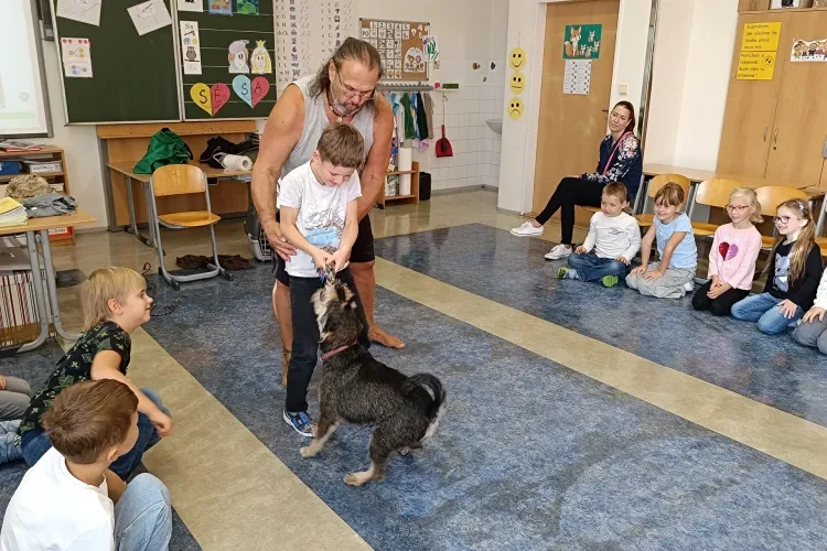 image-40690