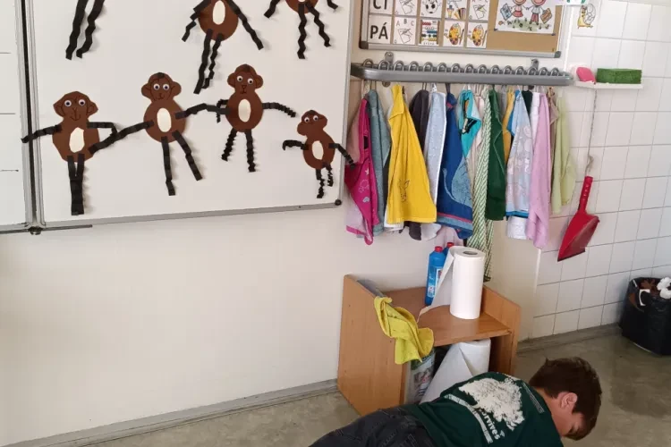 image-41008
