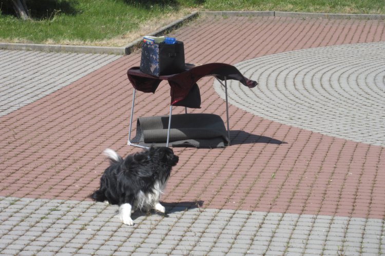 image-3992