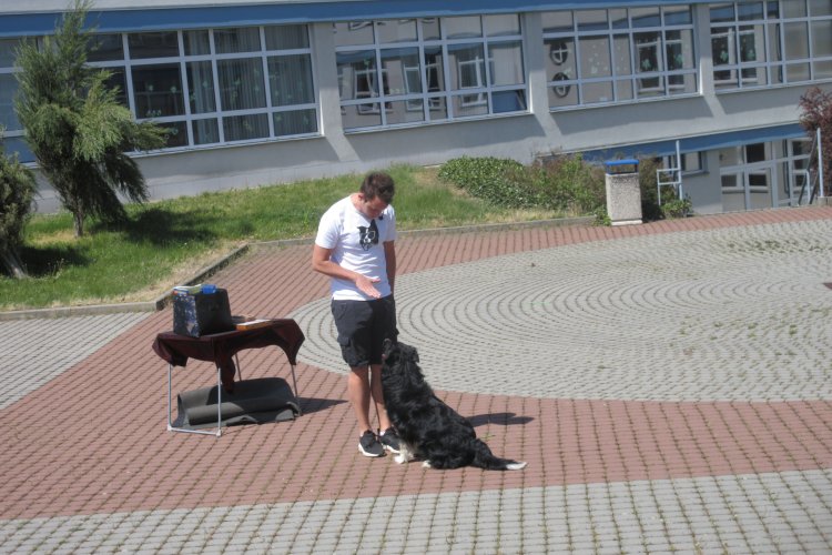 image-3993
