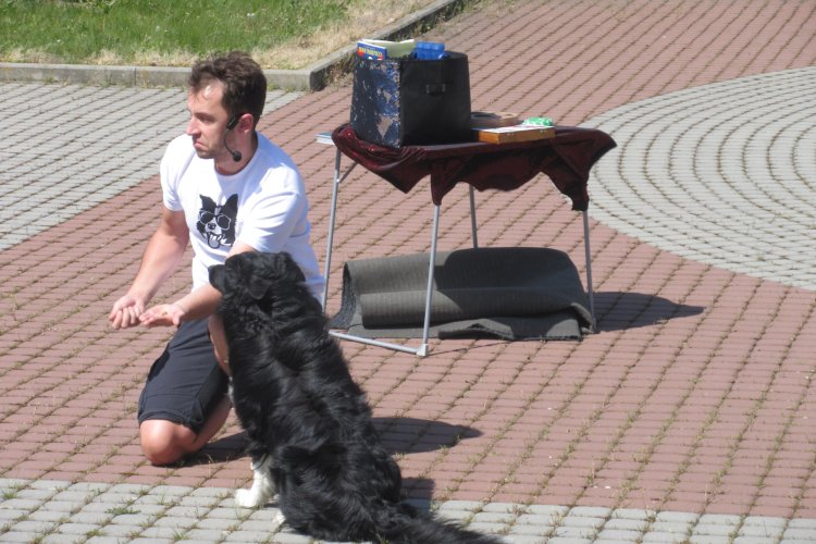 image-3994