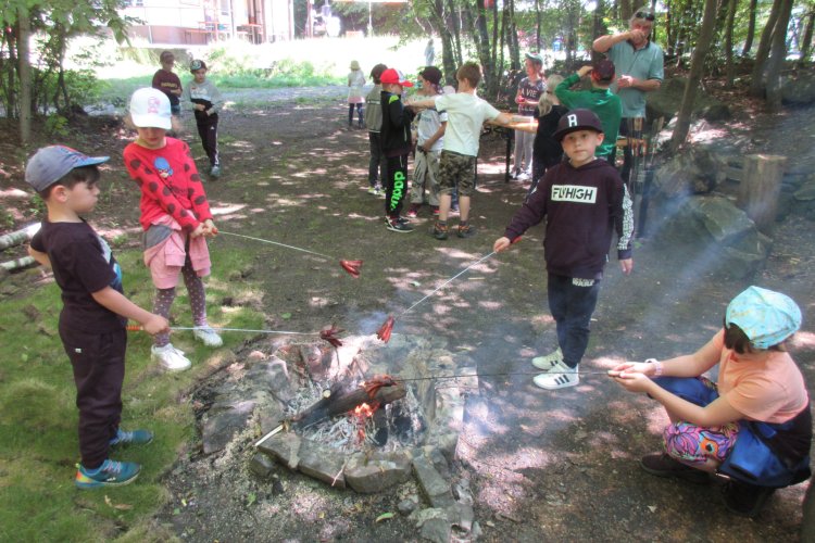 image-4454