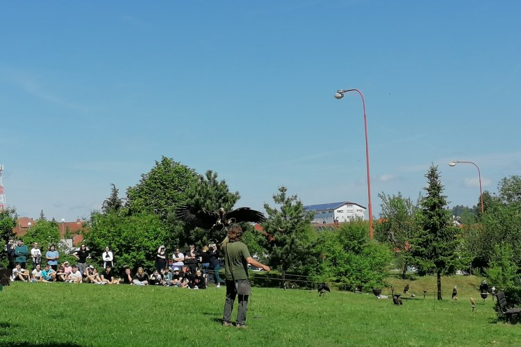 image-5145