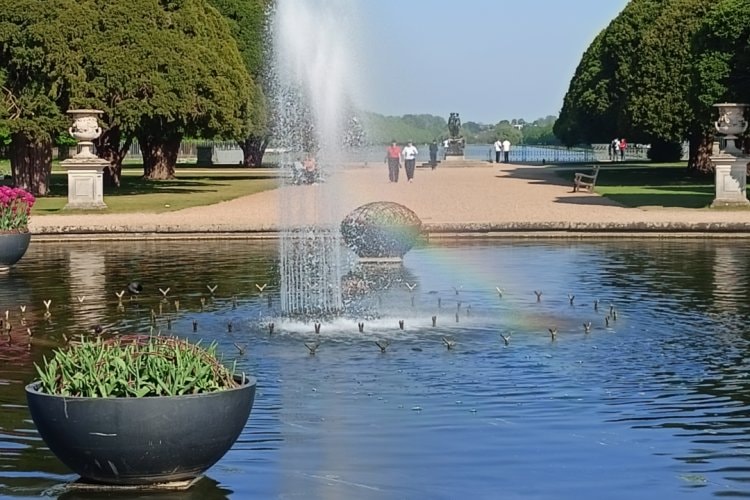 image-20045