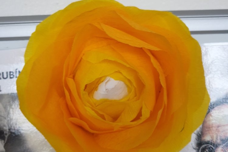 image-20394